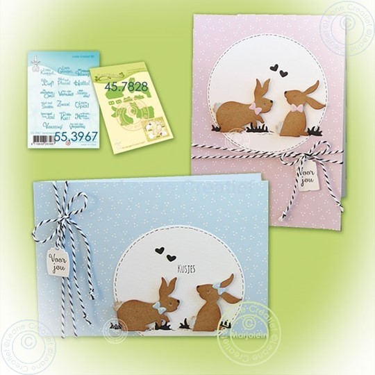 Image sur clean & simple card bunnies